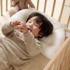 organic pillow for toddler