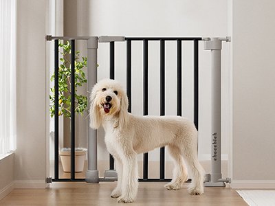 best baby gate for stairs