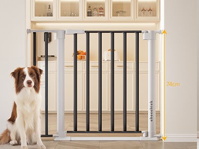 best safety gate for stairs